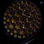 梵克雅宝诗意复杂功能系列VCARN25800腕表 特制机械机芯 现已出货 38MM 美到爆